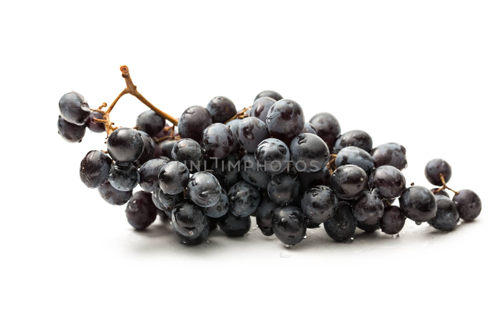 Twig of black grape on white by Garsya