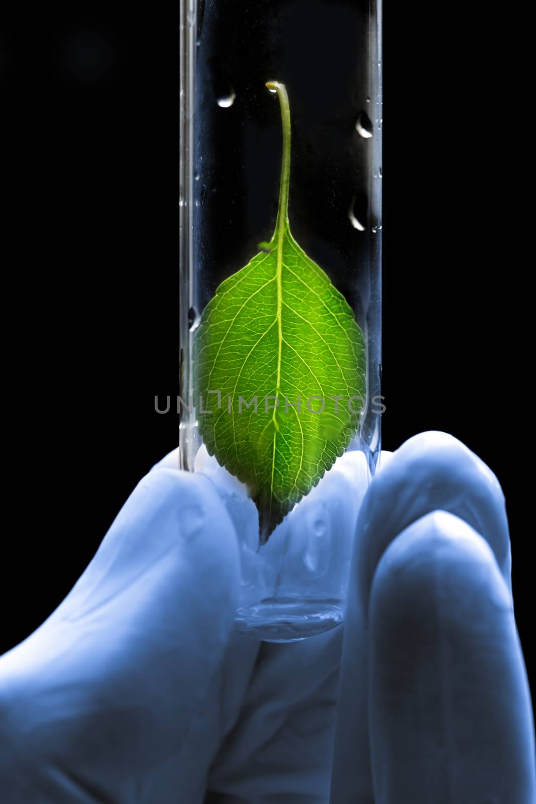 Hand in glove holding test tube with plant by Garsya