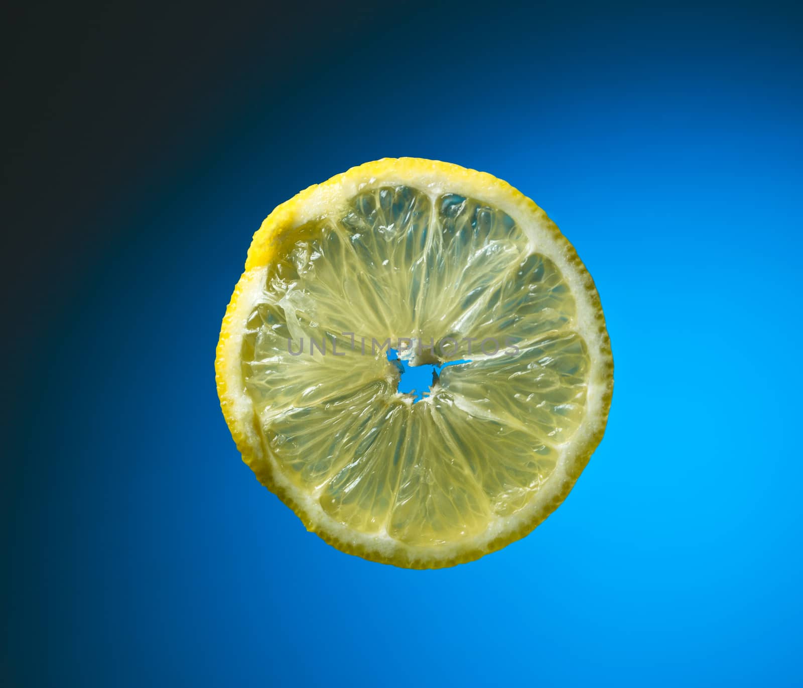 Slice of lemon on blue by Garsya
