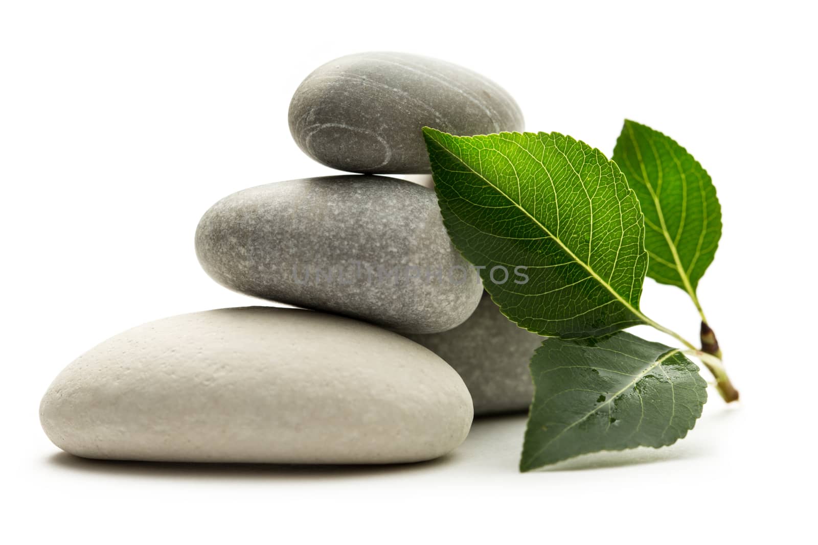 Stones with leaves on white background