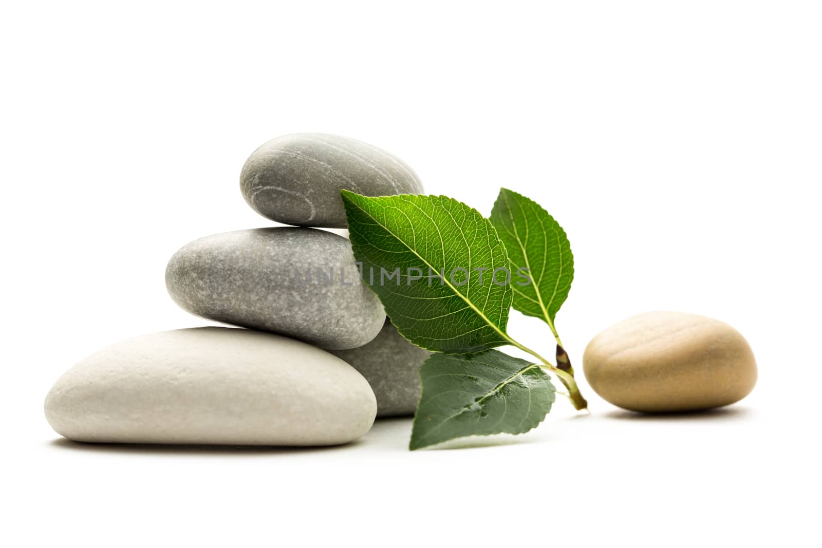 Stones with leaves on white background