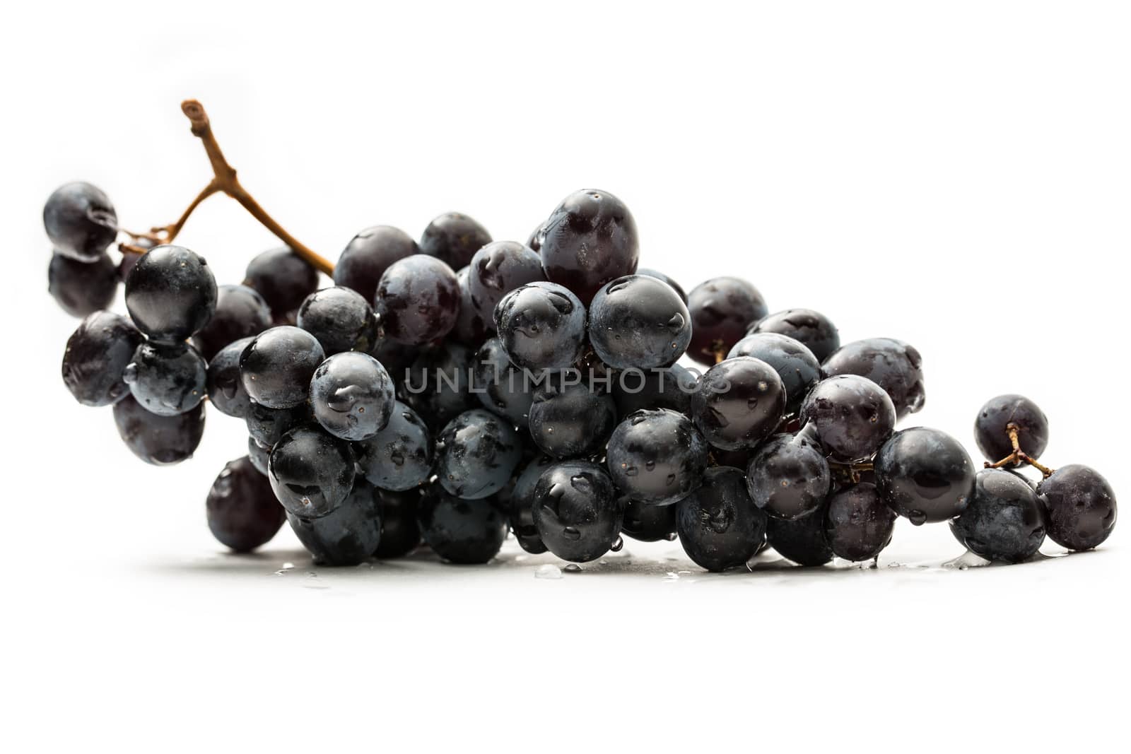 Twig of black grape on white by Garsya