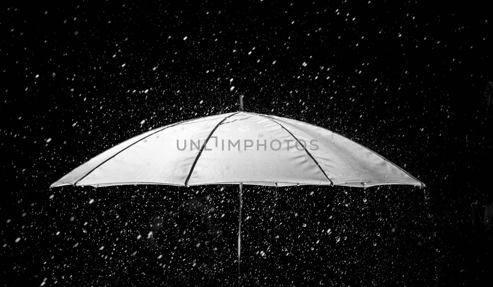 Umbrella under raindrops in black and white