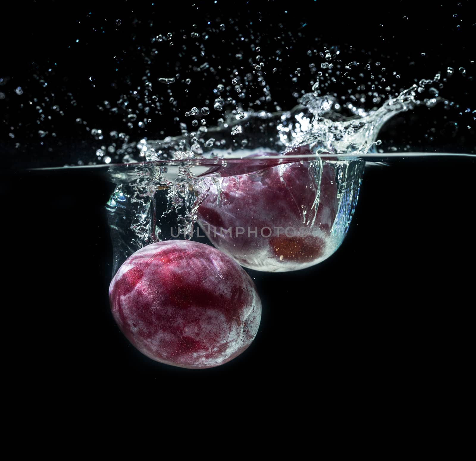 Fresh plums in water splash by Garsya