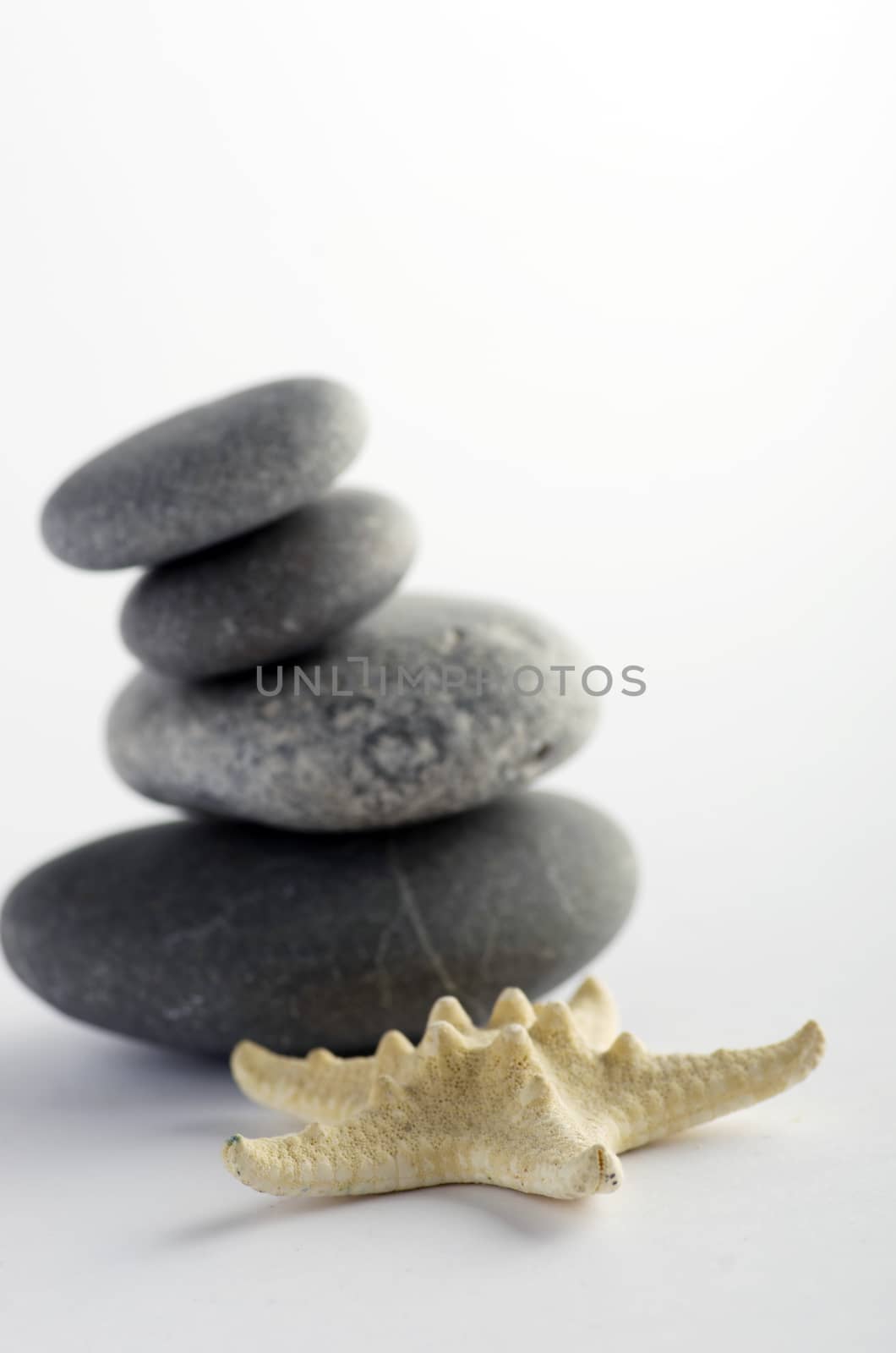 pile of stones and sea star closeup on white background