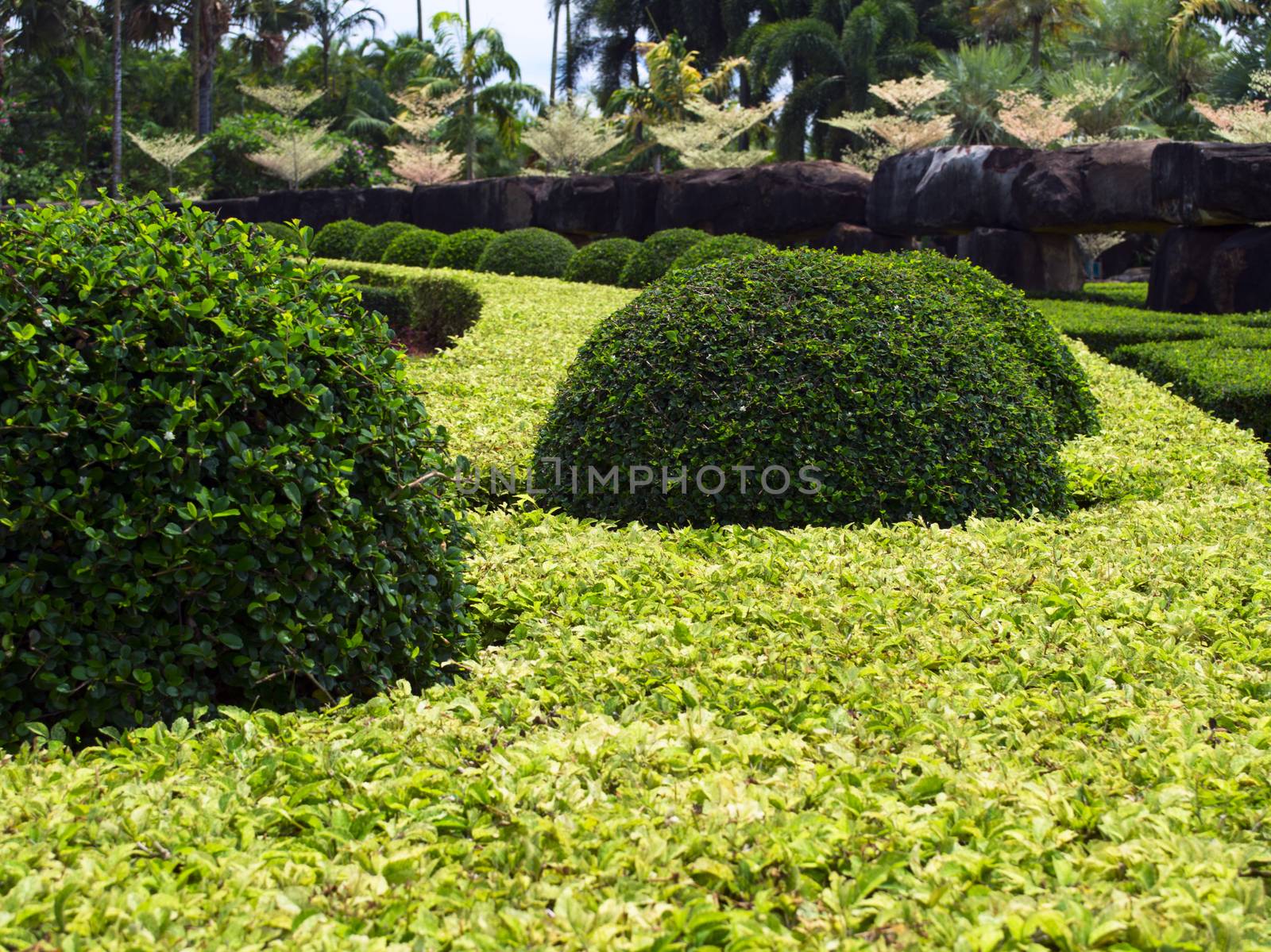 Well Kept Garden. by GNNick