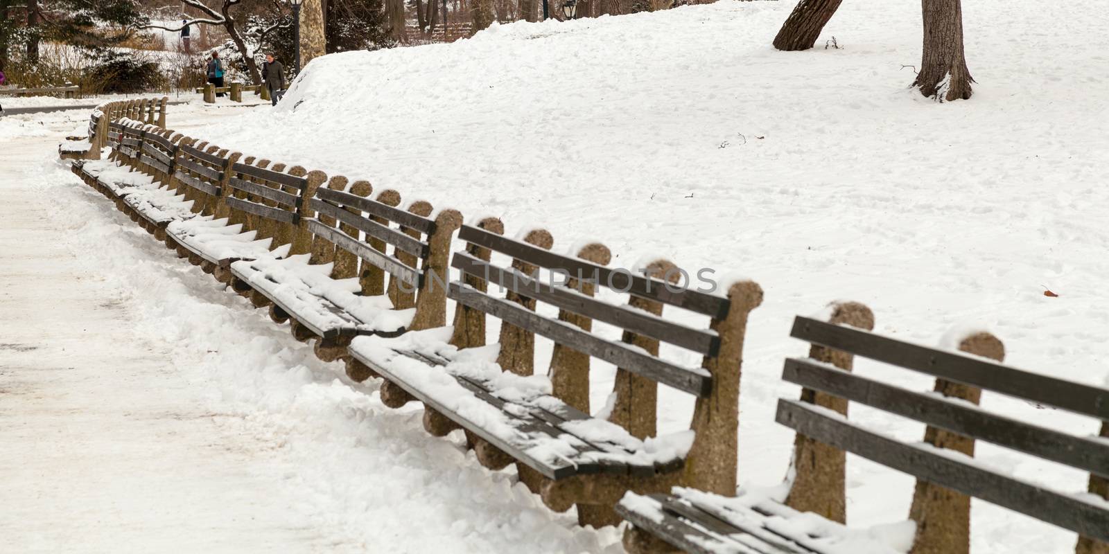 Snow and Central Park Benches