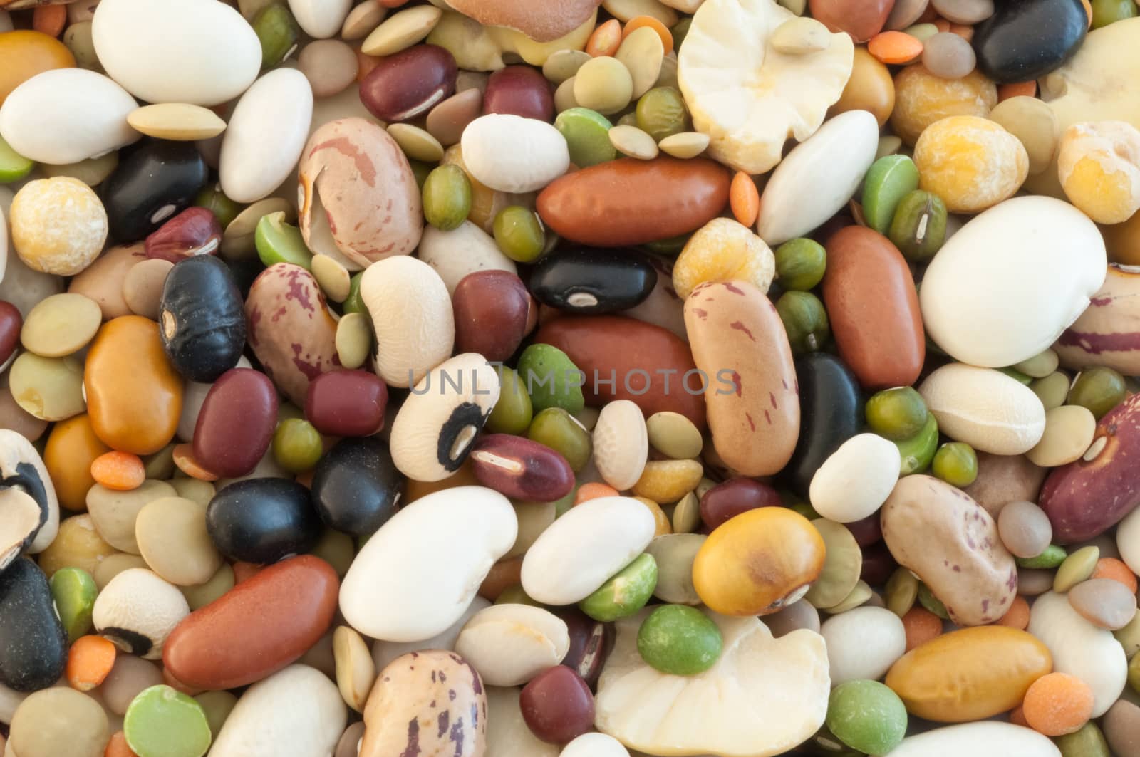 beautiful macro of colored italian pulse soup