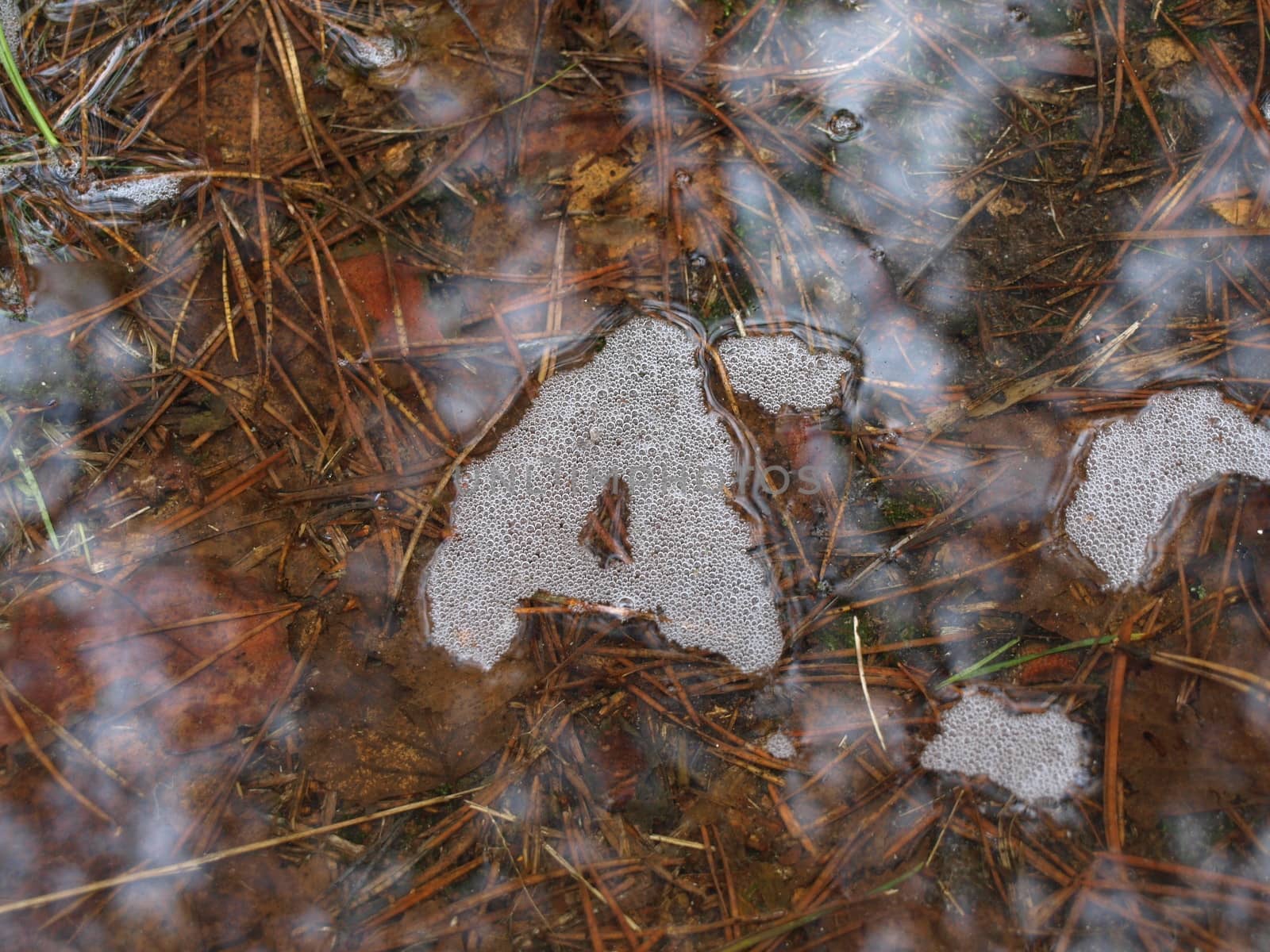 A letter on puddle