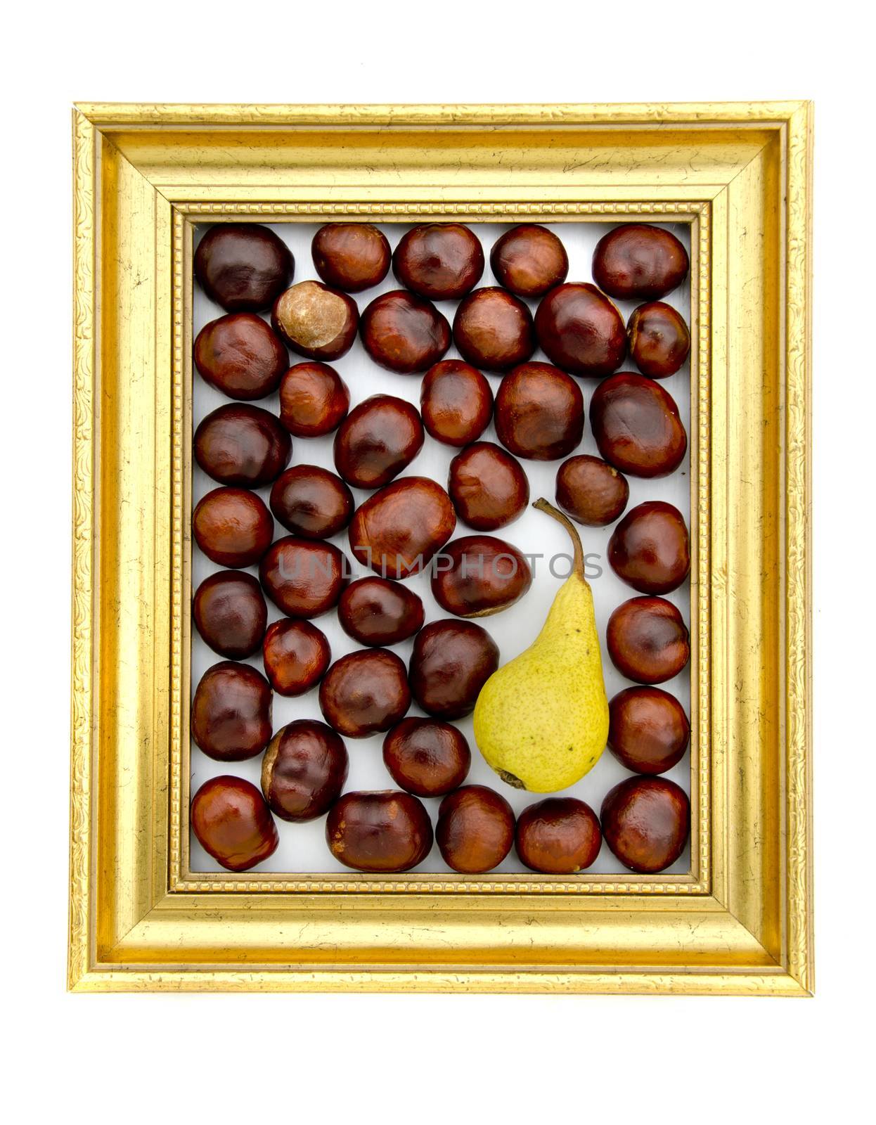 conker fruits and pear in in golden retro frame isolated on white