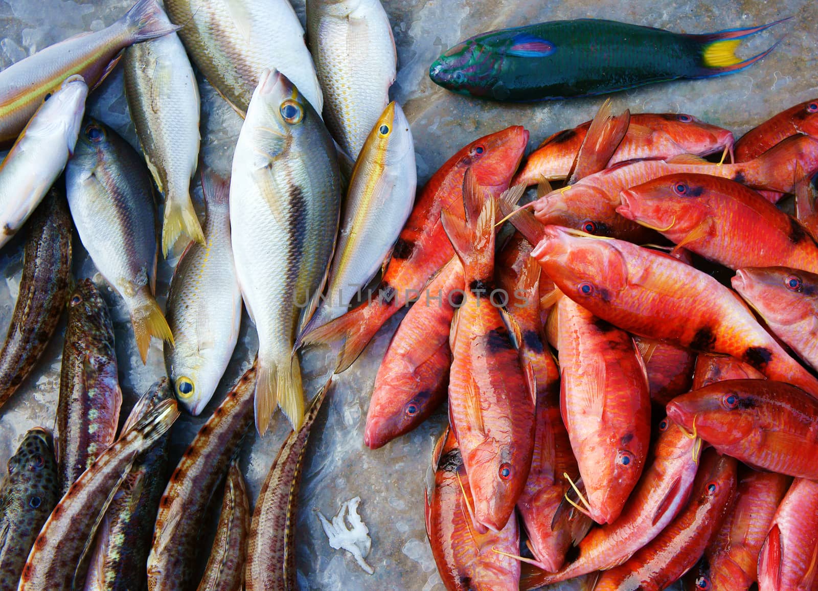 Fresh seafood, Vietnam fish market, nutrition food by xuanhuongho