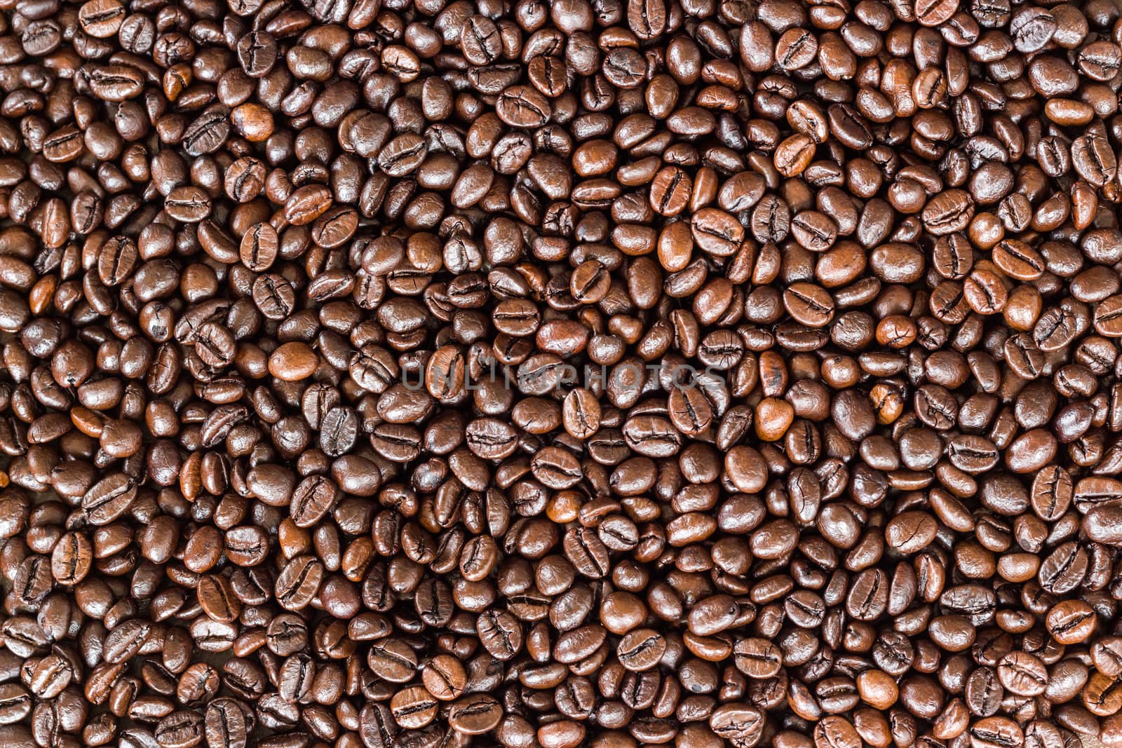close up coffee beans by blackzheep