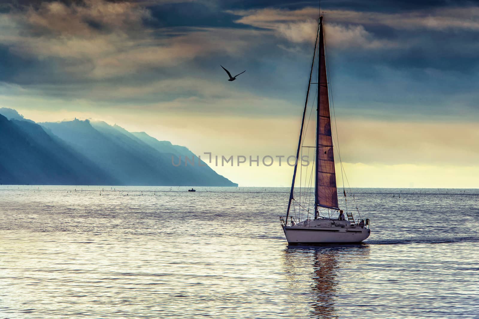 a skipper takes his sail boat back at bay