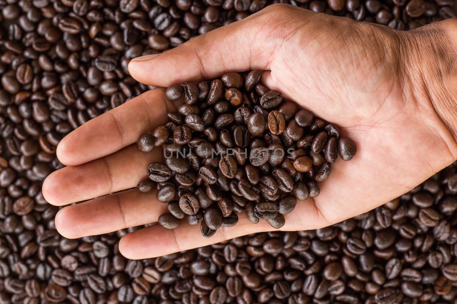 hand hold coffee beans and coffee beans background by blackzheep