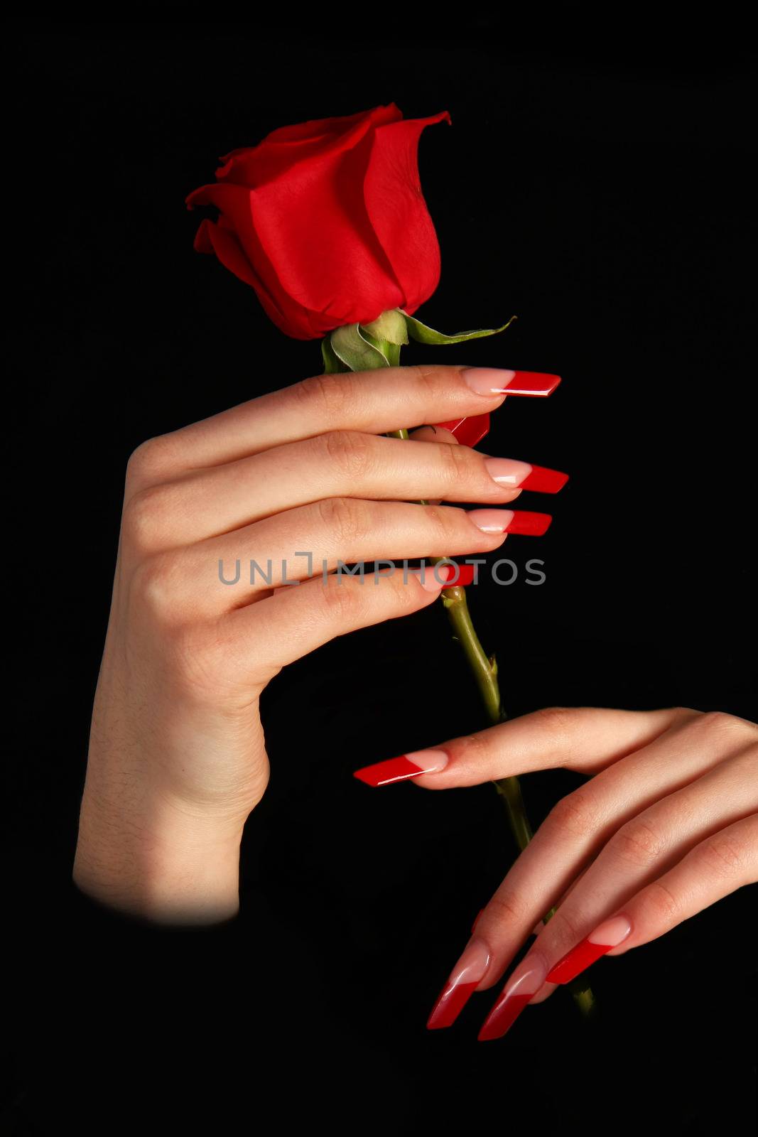 Beautiful hands with french manicure on black background
