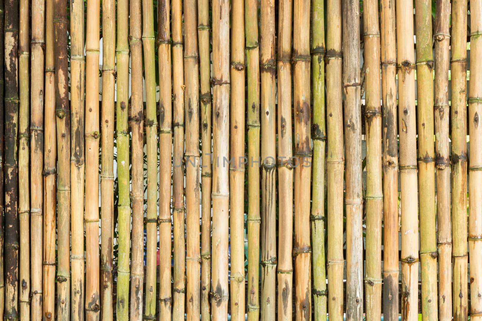 bamboo wood fence wall background by blackzheep