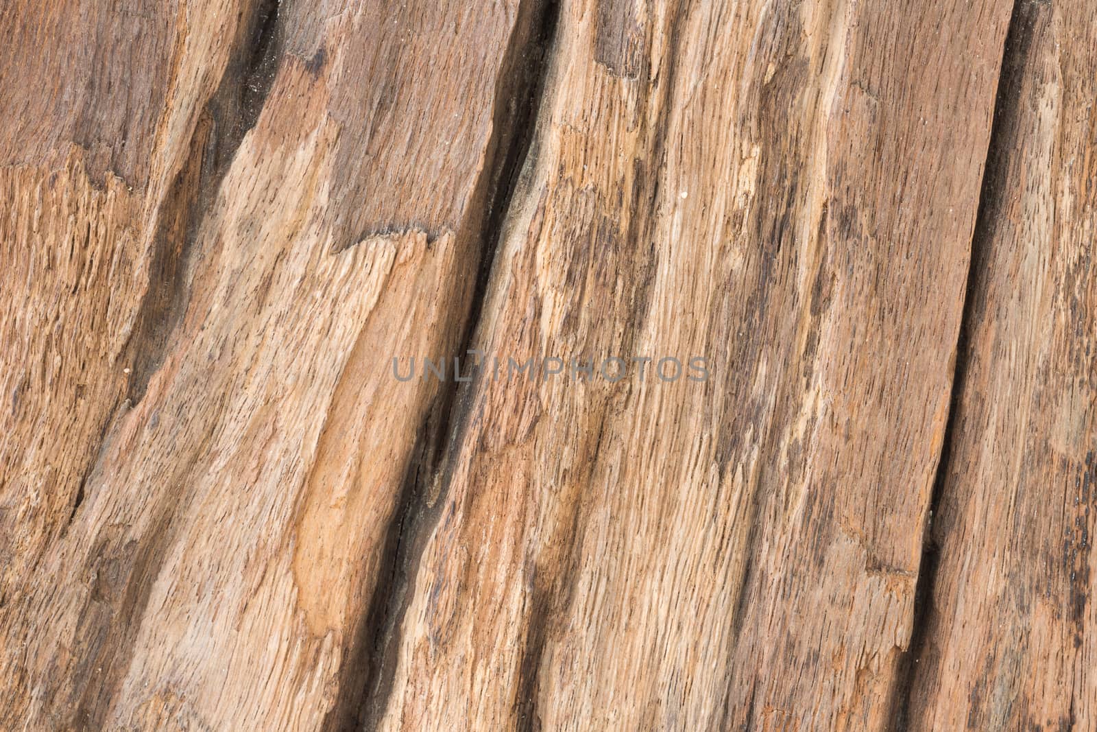 close up of wood textured by blackzheep