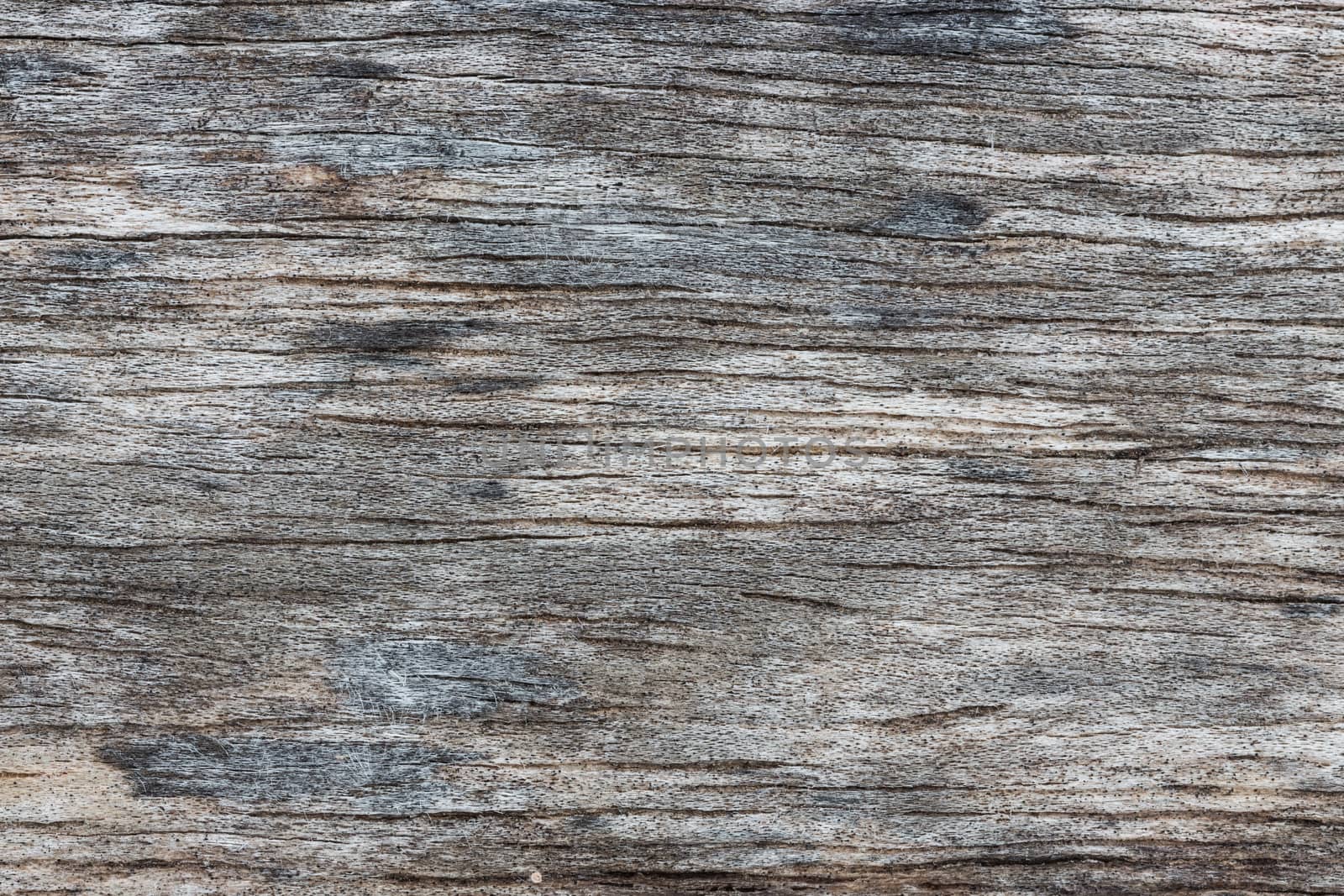 close up wood textured by blackzheep
