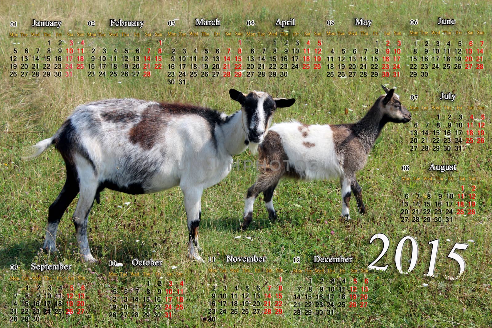 calendar for 2015 year with goat and kid by alexmak