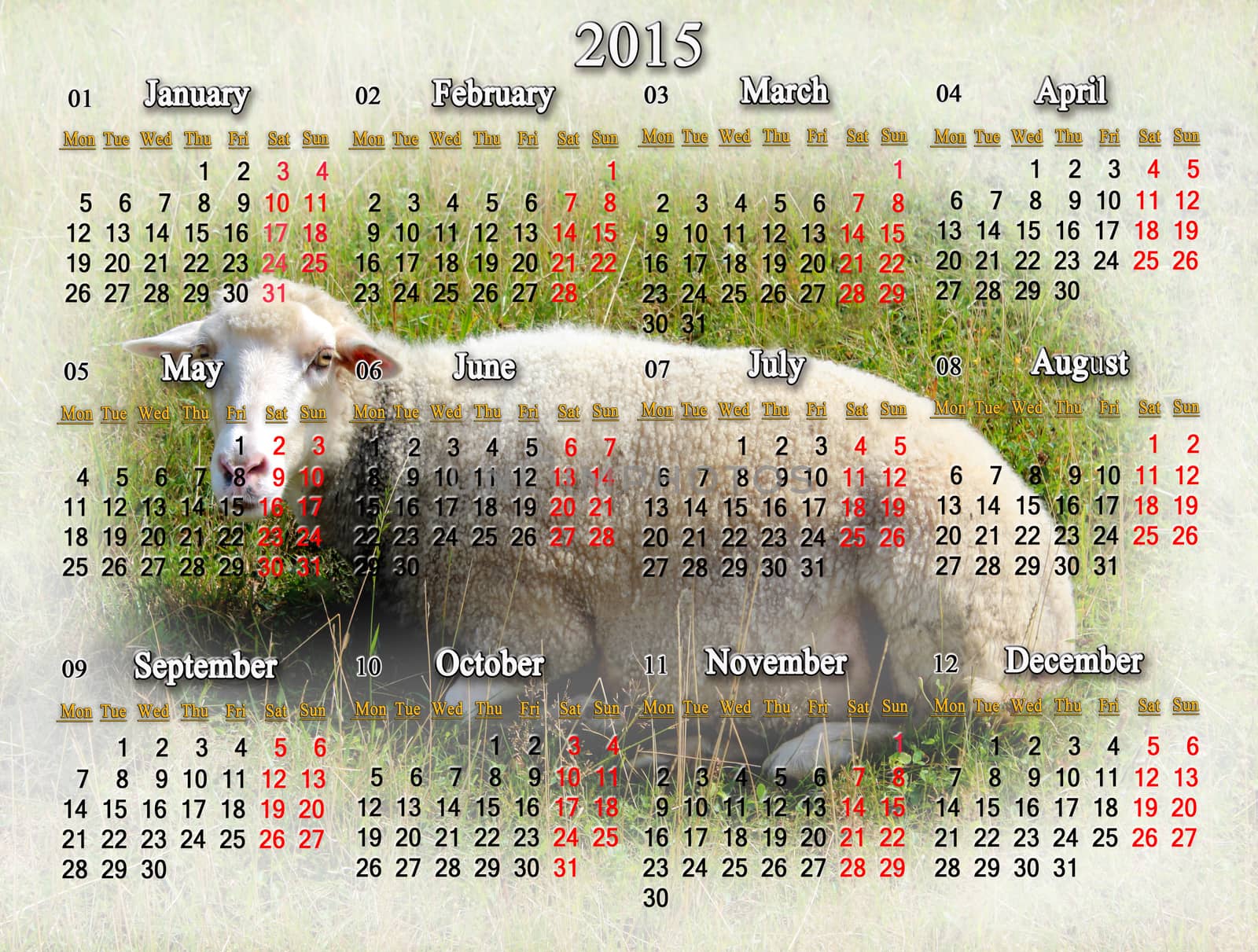 calendar for 2015 with sheep on the background by alexmak