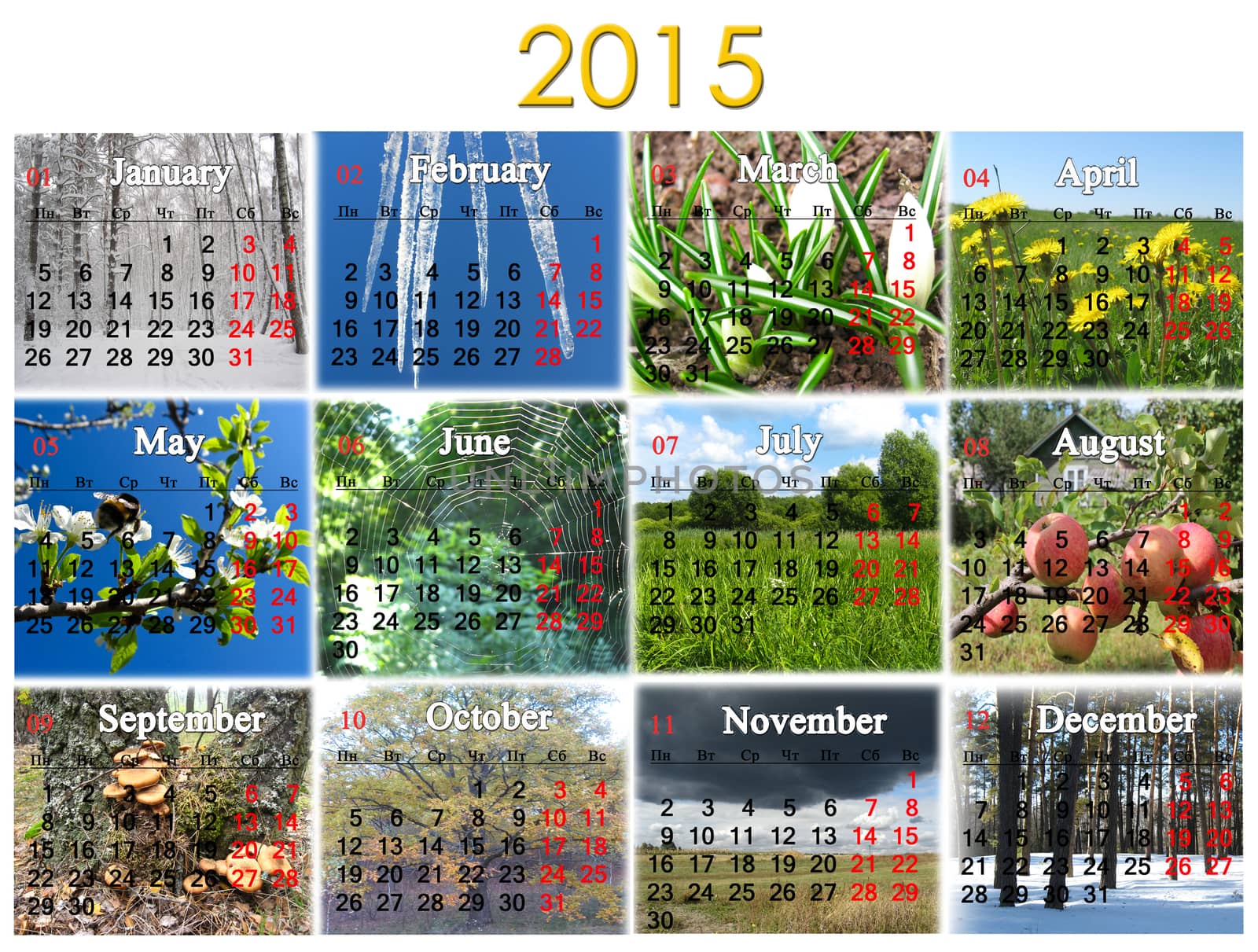 calendar for 2015 year by alexmak