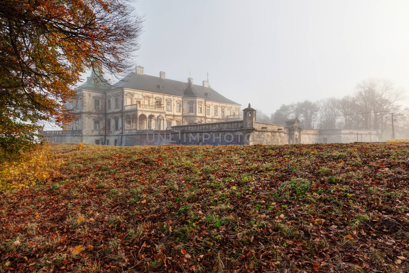 Ancient castle in the morning fog. Autumn season