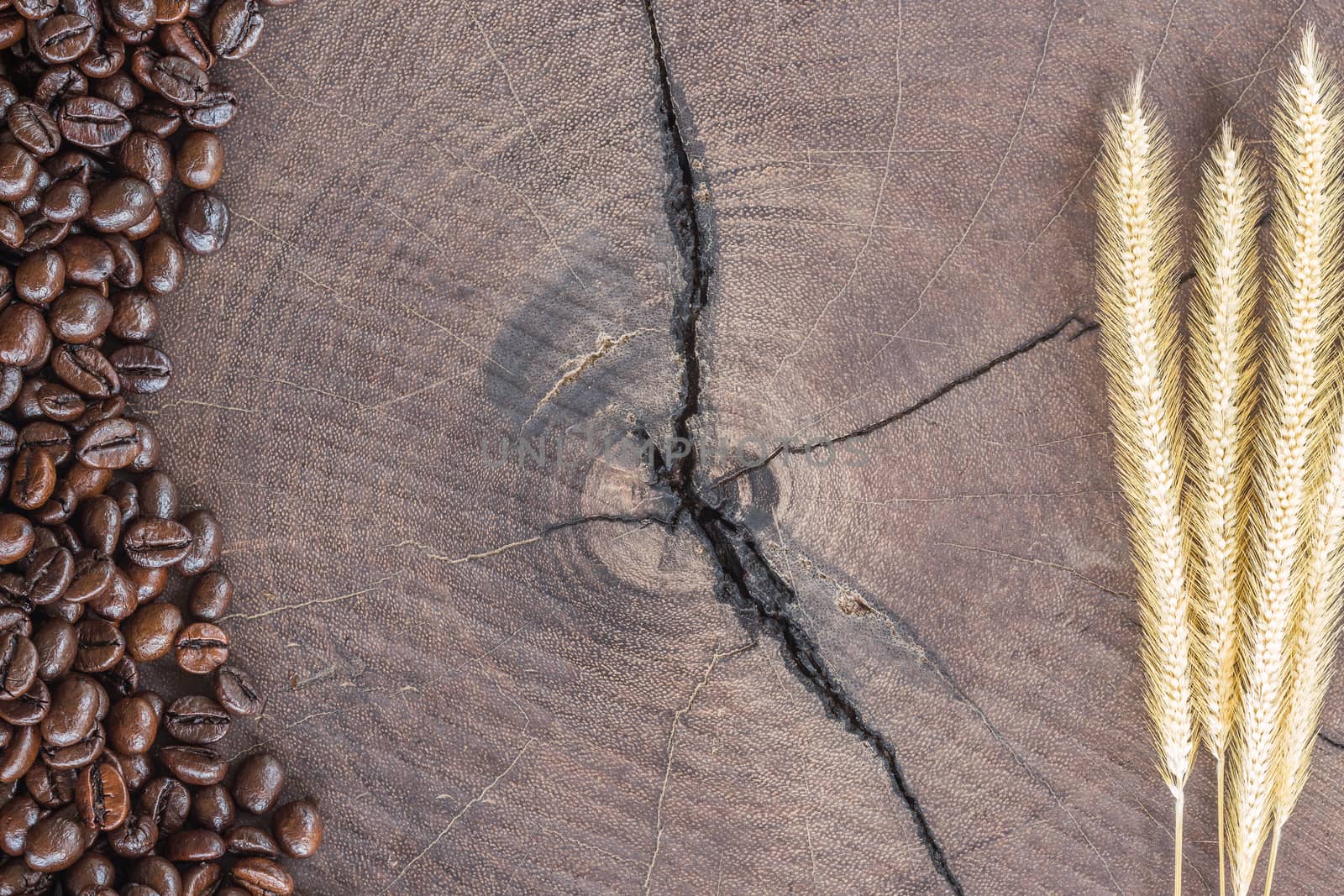 close up coffee beans on wood stump background