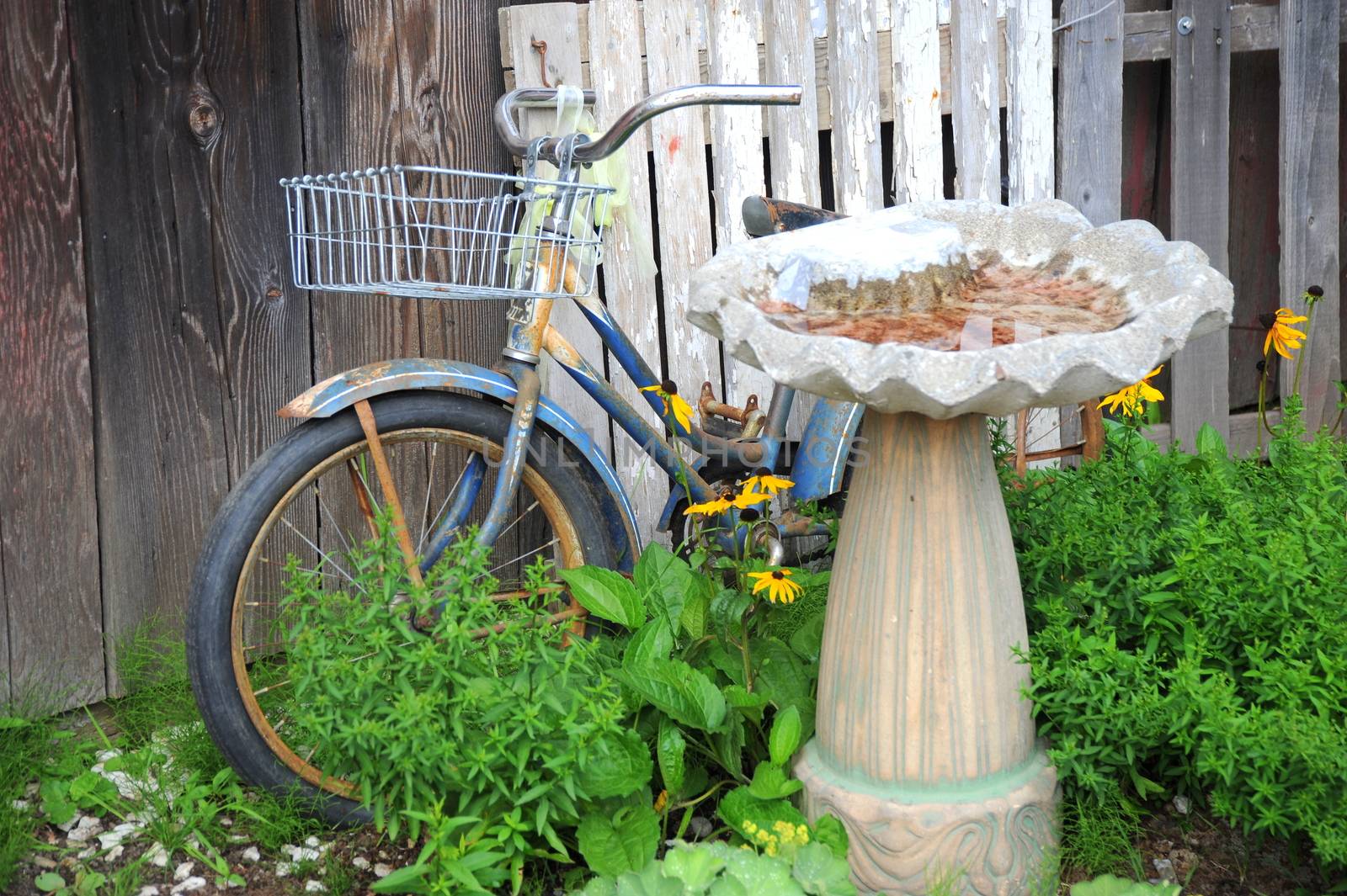 Vintage bike displayed against a wooden fence outside.