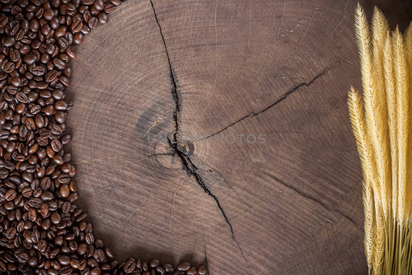 coffee beans on wood stump background by blackzheep