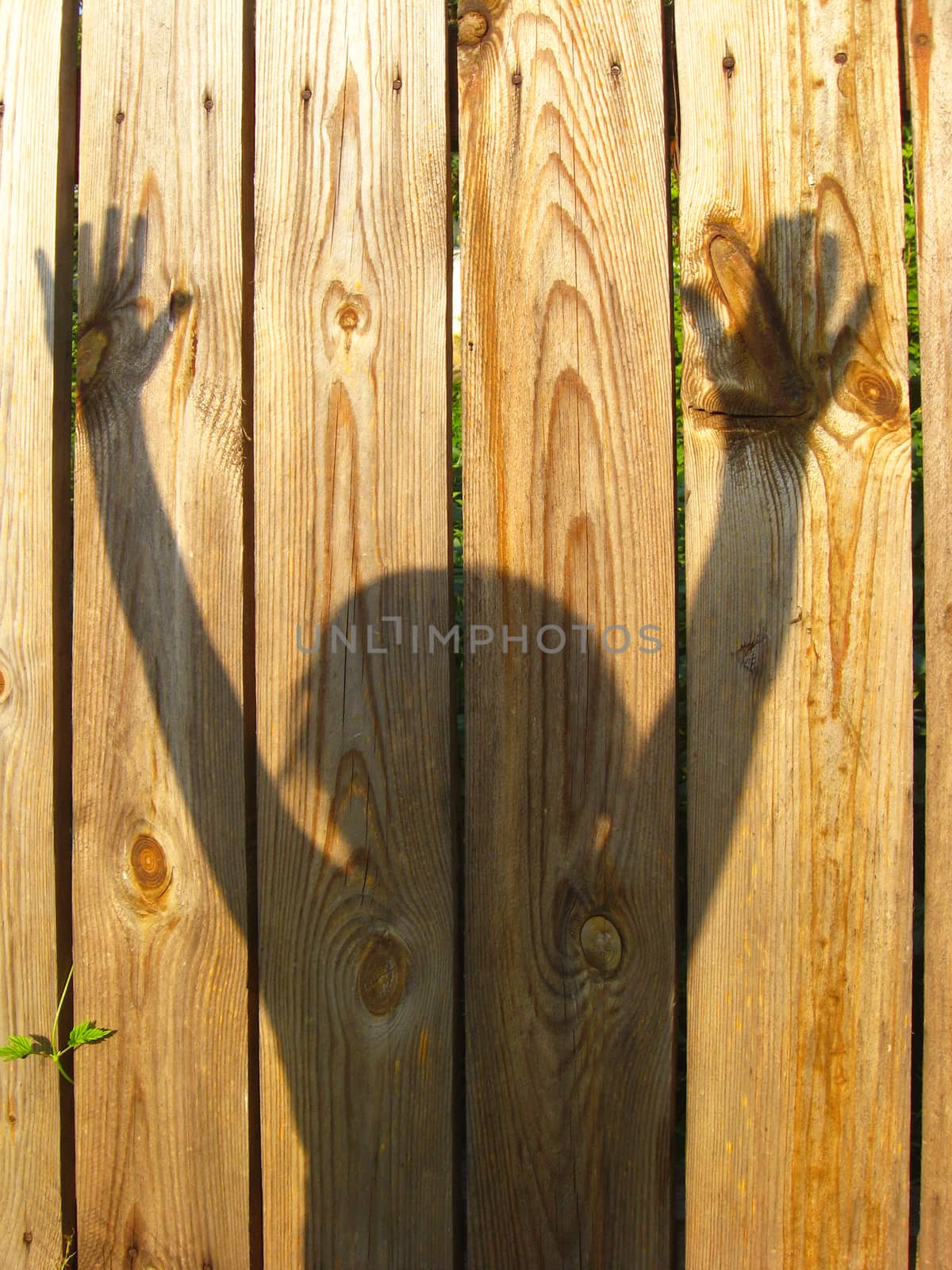 shadows of teen's hand raising up on the fence by alexmak