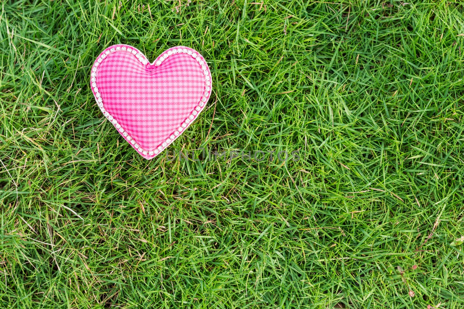 pink heart love on green grass by blackzheep