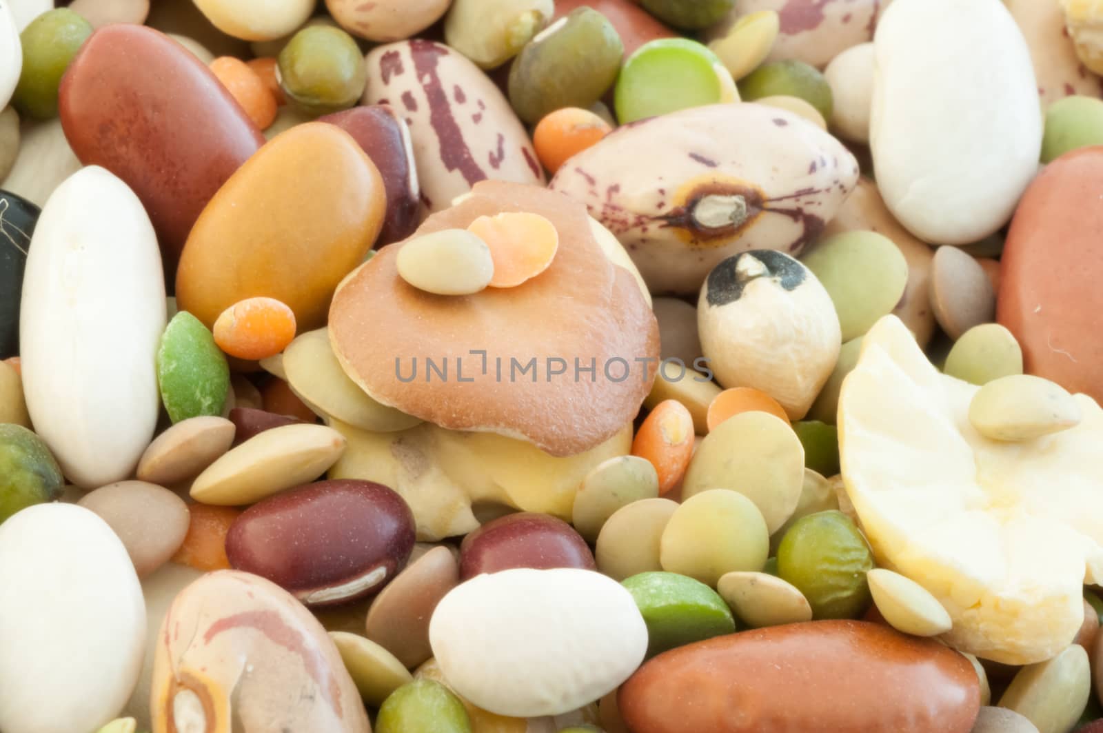 beautiful macro of italian colored vegetarian soup