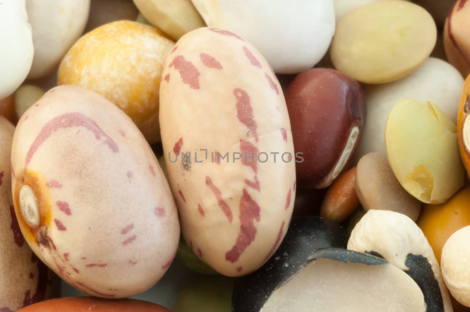 beautiful macro of italian colored vegetarian soup