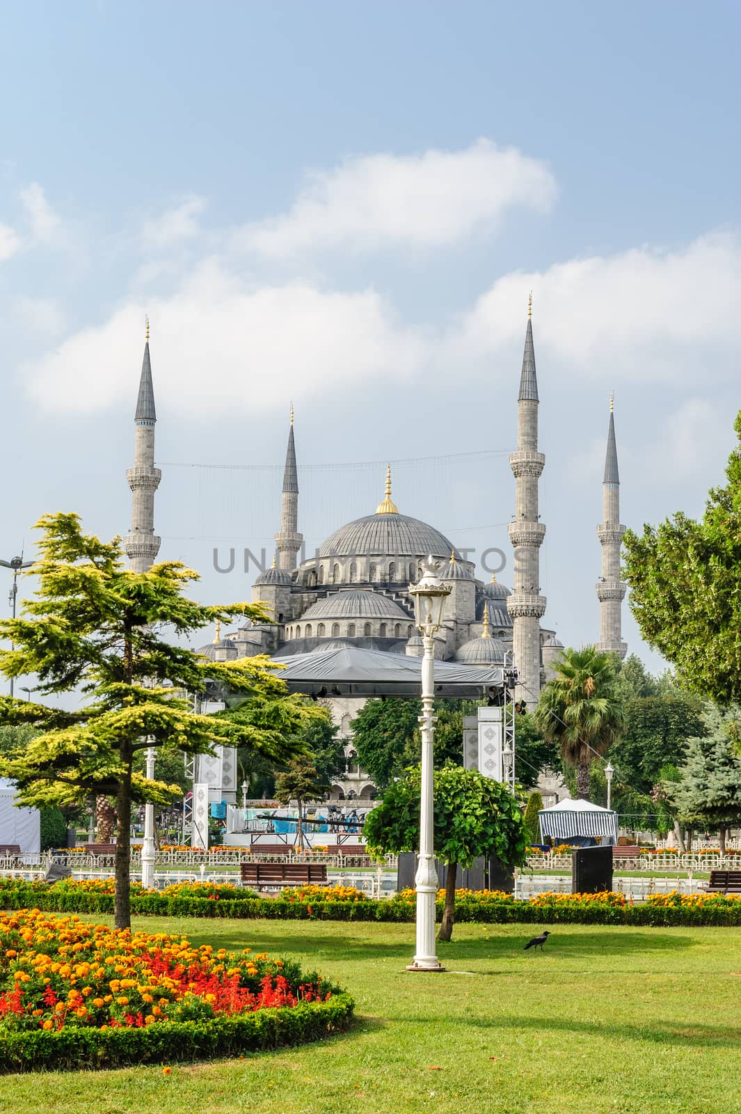 Blue mosque, Istanbul, Turkey by starush