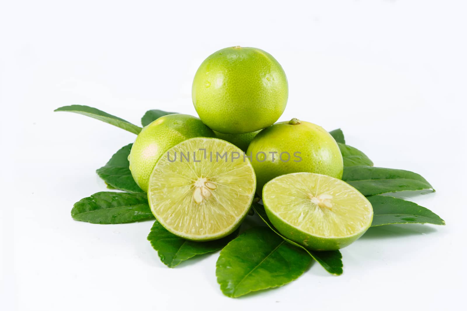 lime lemon on white by blackzheep