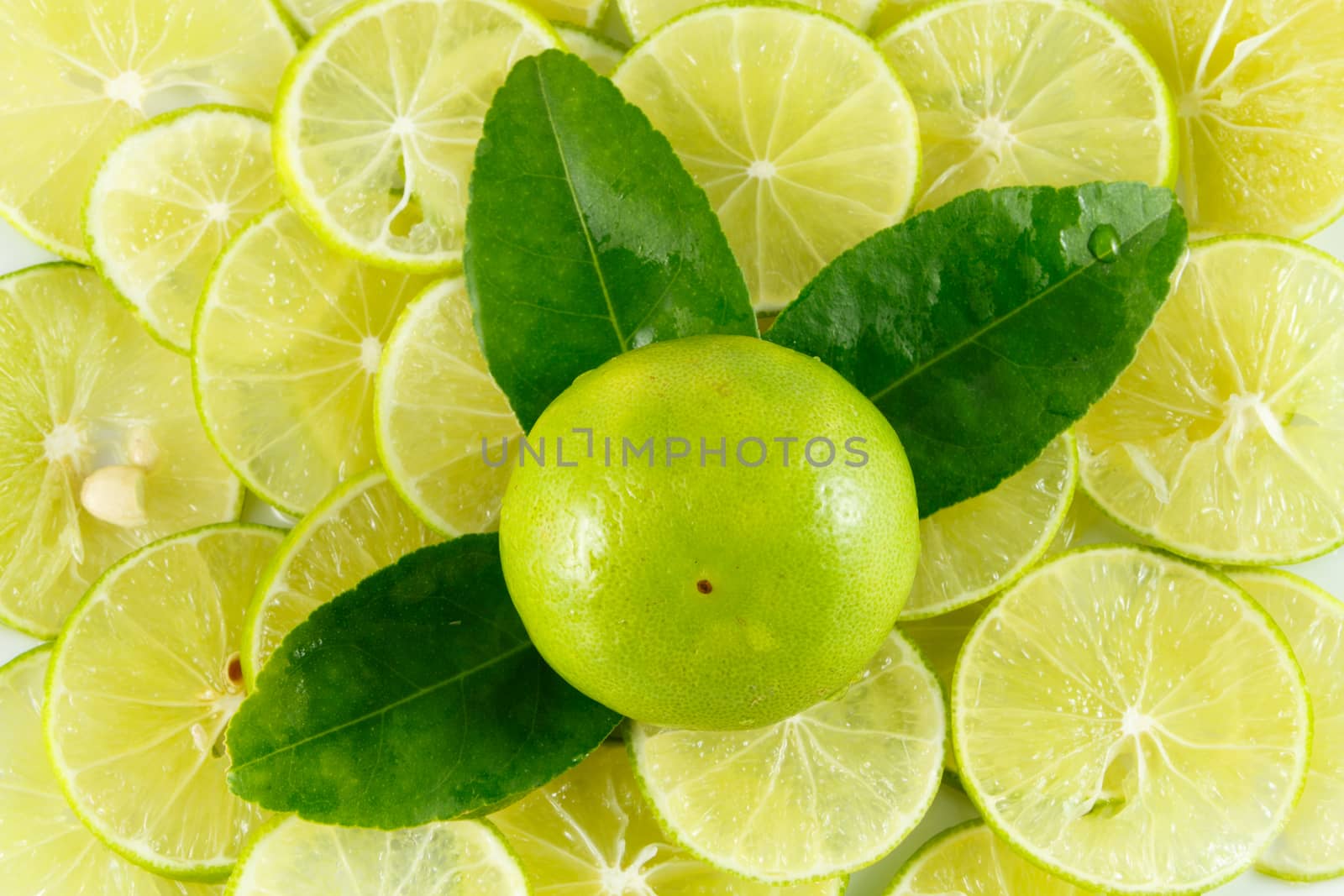 lemon slice by blackzheep