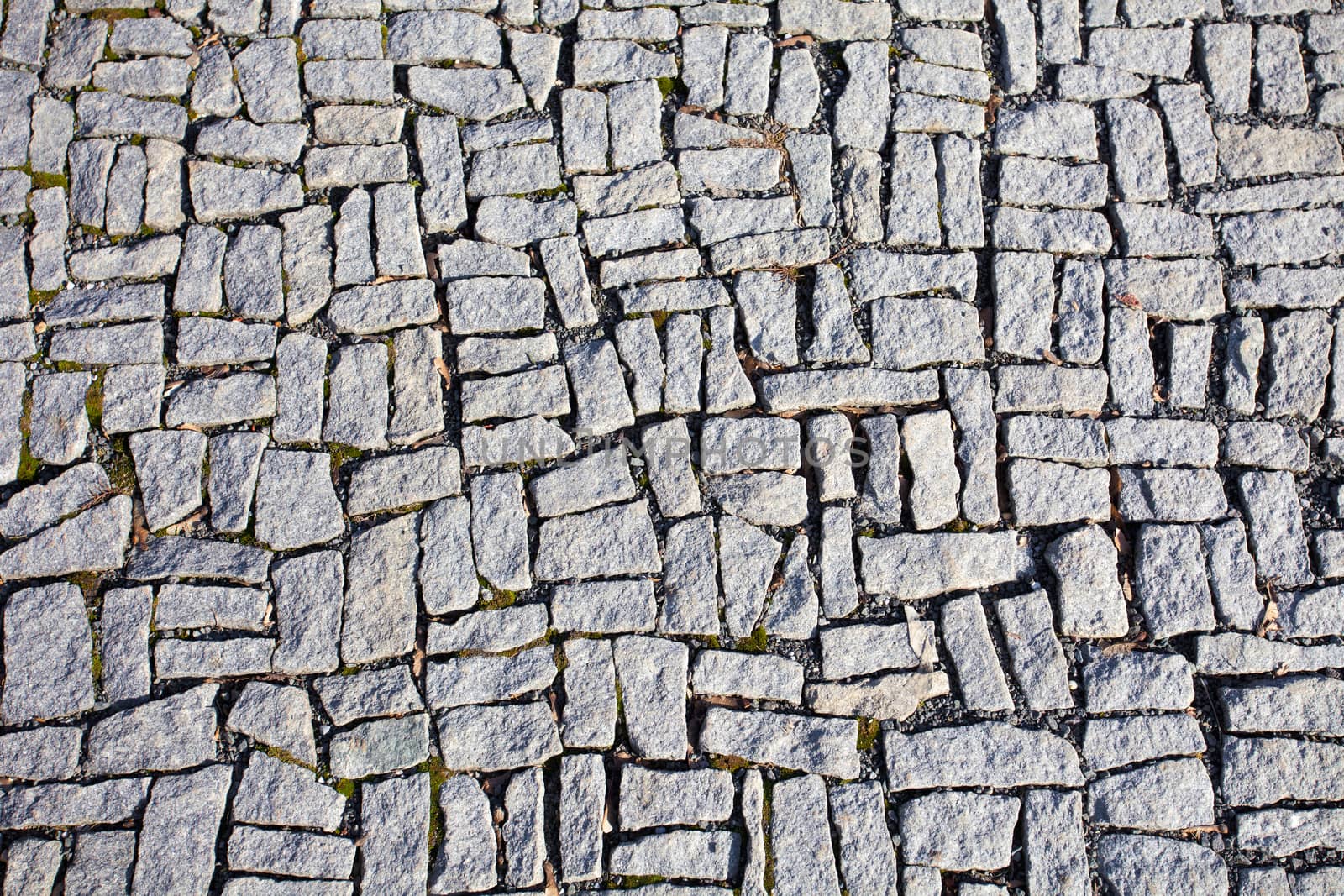 Square granite stones on the pavement background