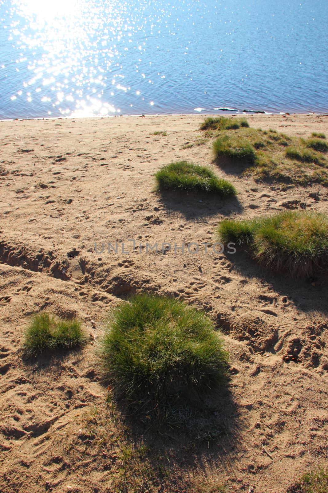 islets lawn on the beach at the lake.  background