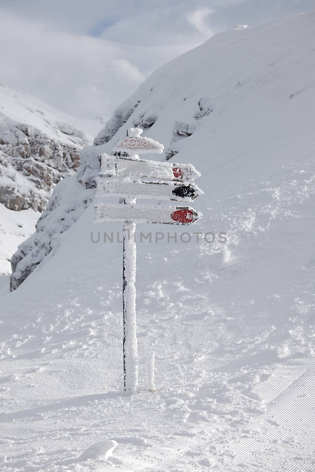 Directional sign post frozen in winter