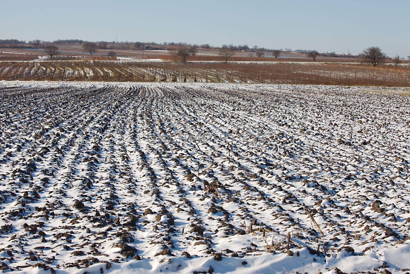 Agricultural field covered by fresh snow