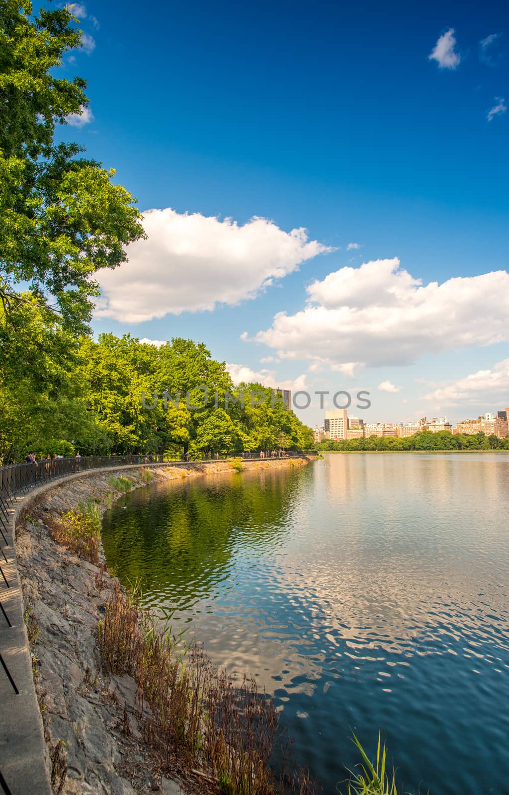 Beautiful colors of Central Park with lake reflections at dusk - New York City.