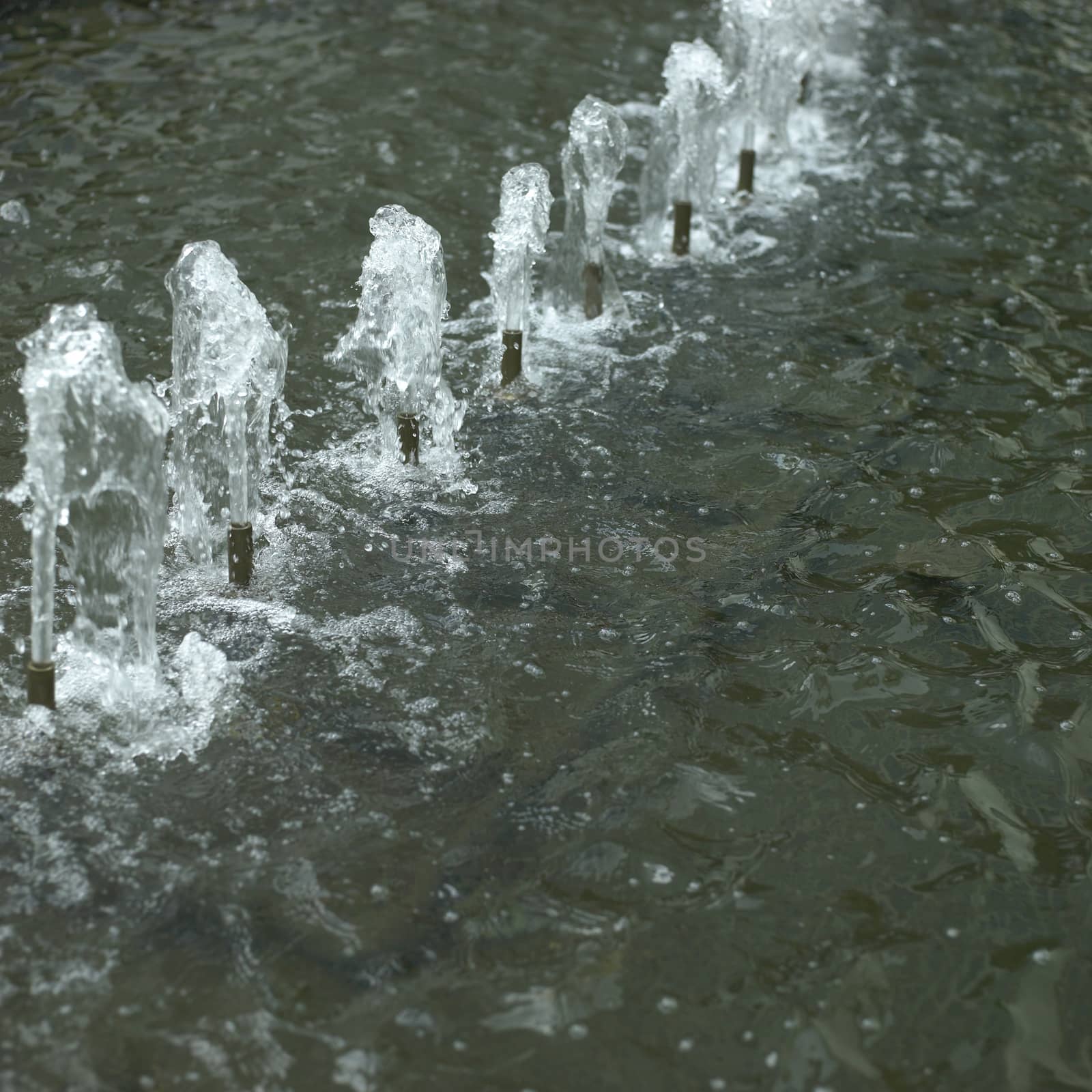 fountain by mmm