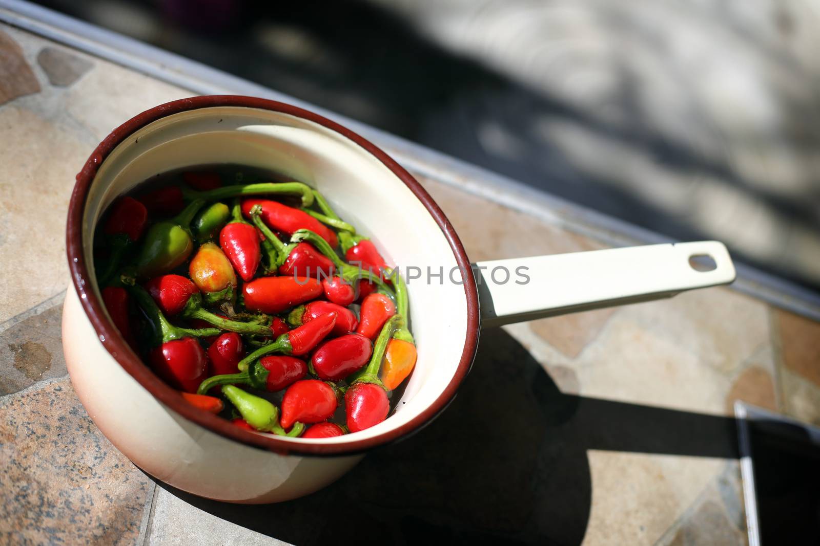 small hot chili peppers in saucepan with water