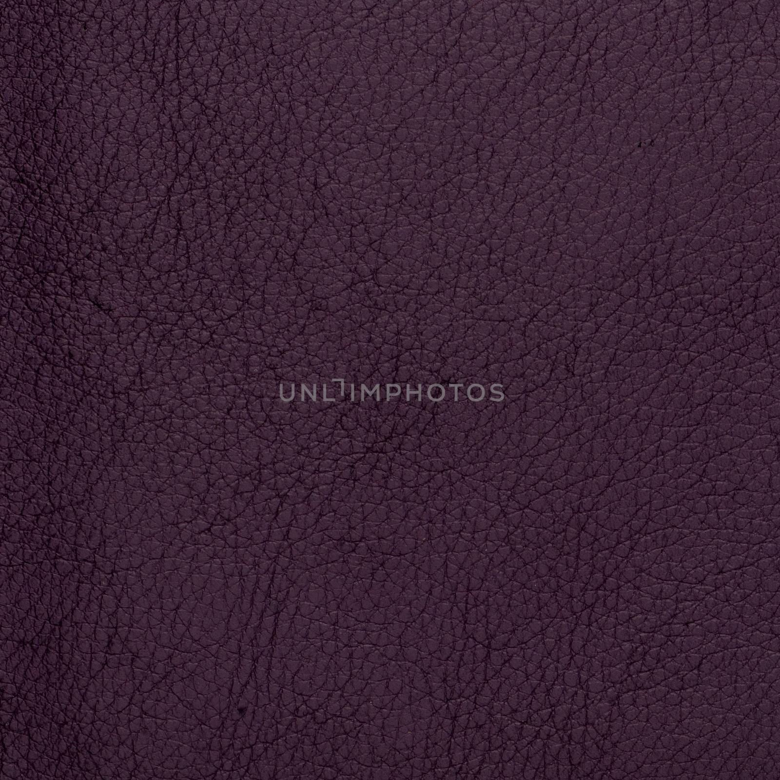 Closeup detail of violet leather texture to background