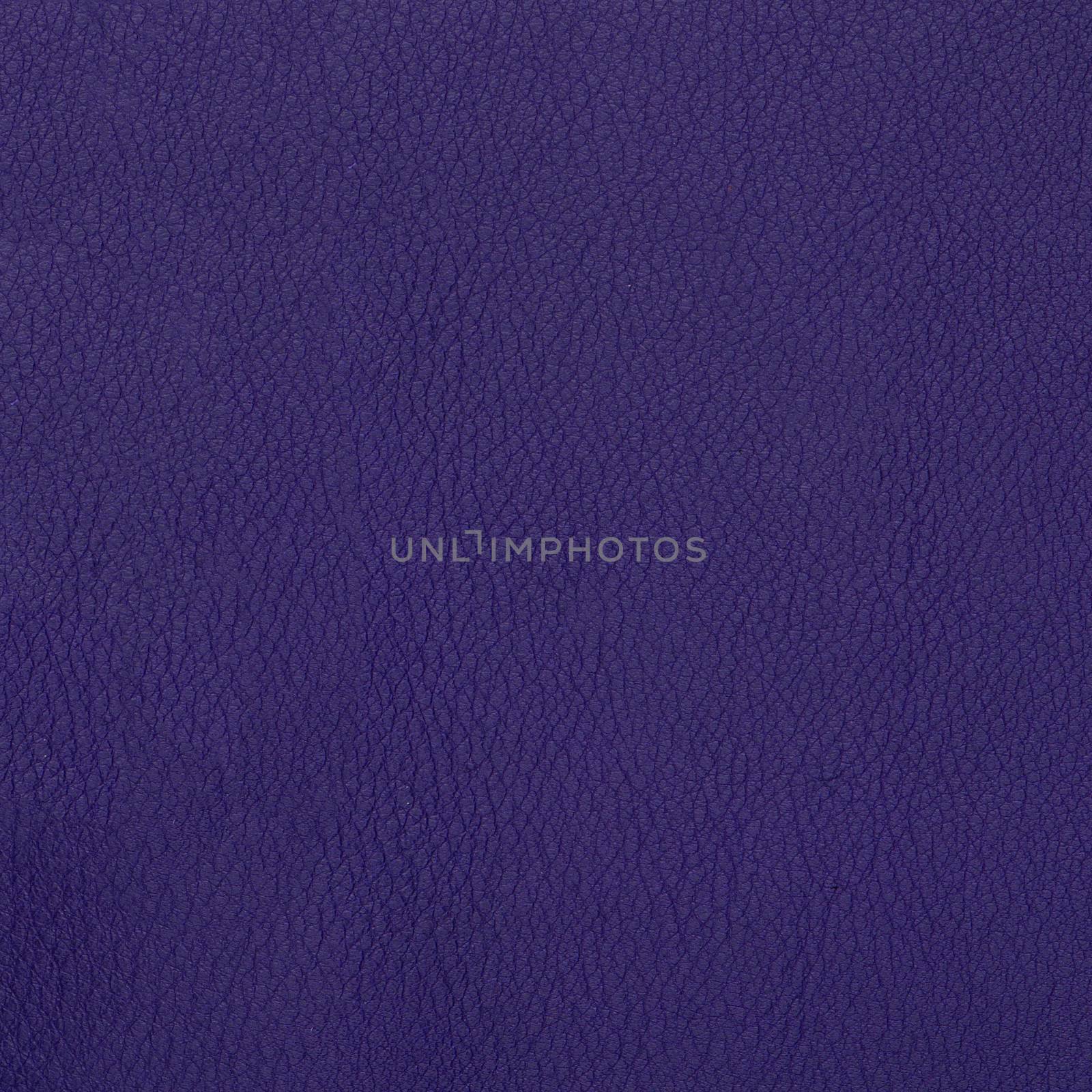 Closeup detail of violet leather texture to background