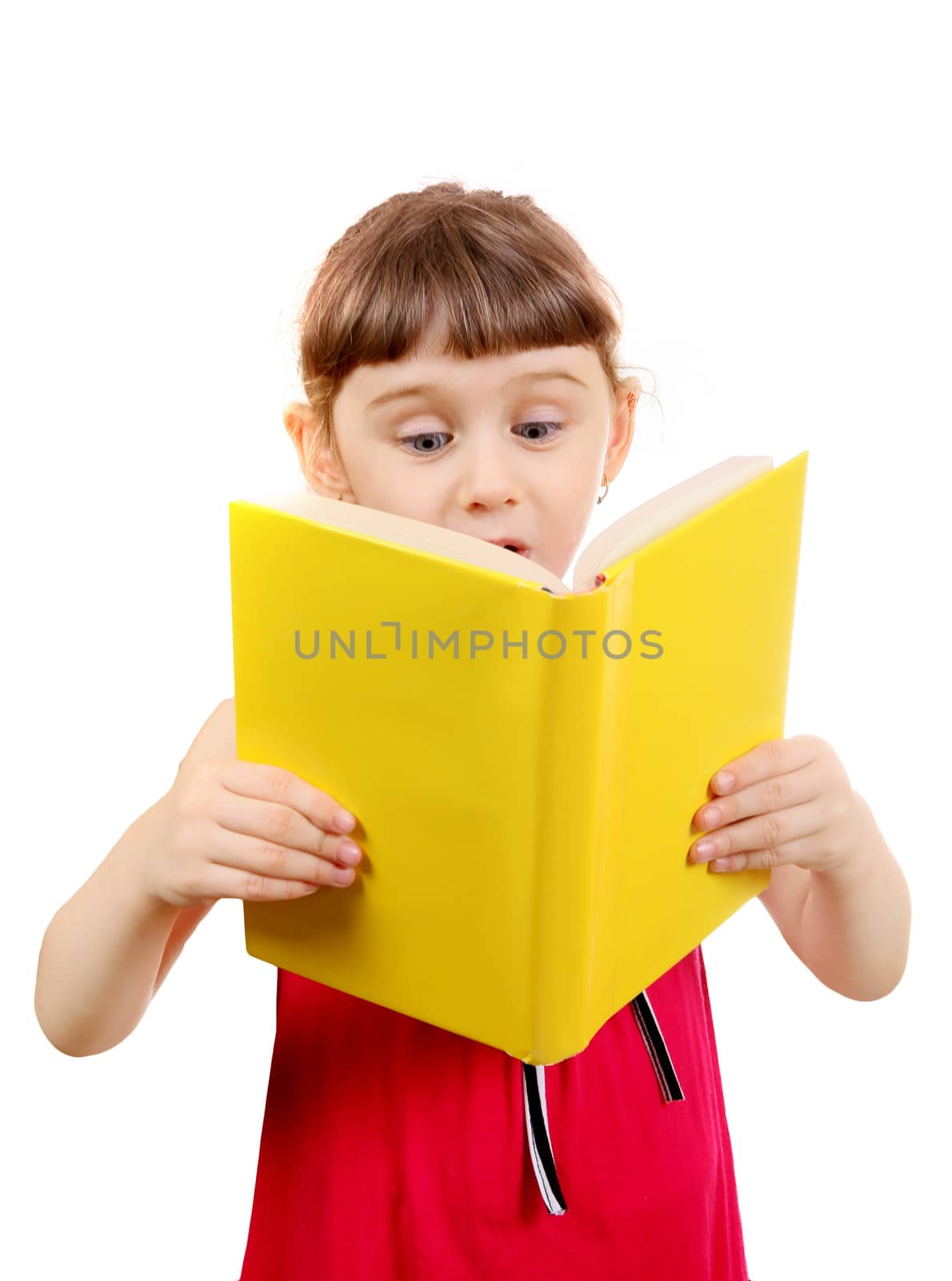 Little Girl reads a Book Isolated on the White Background