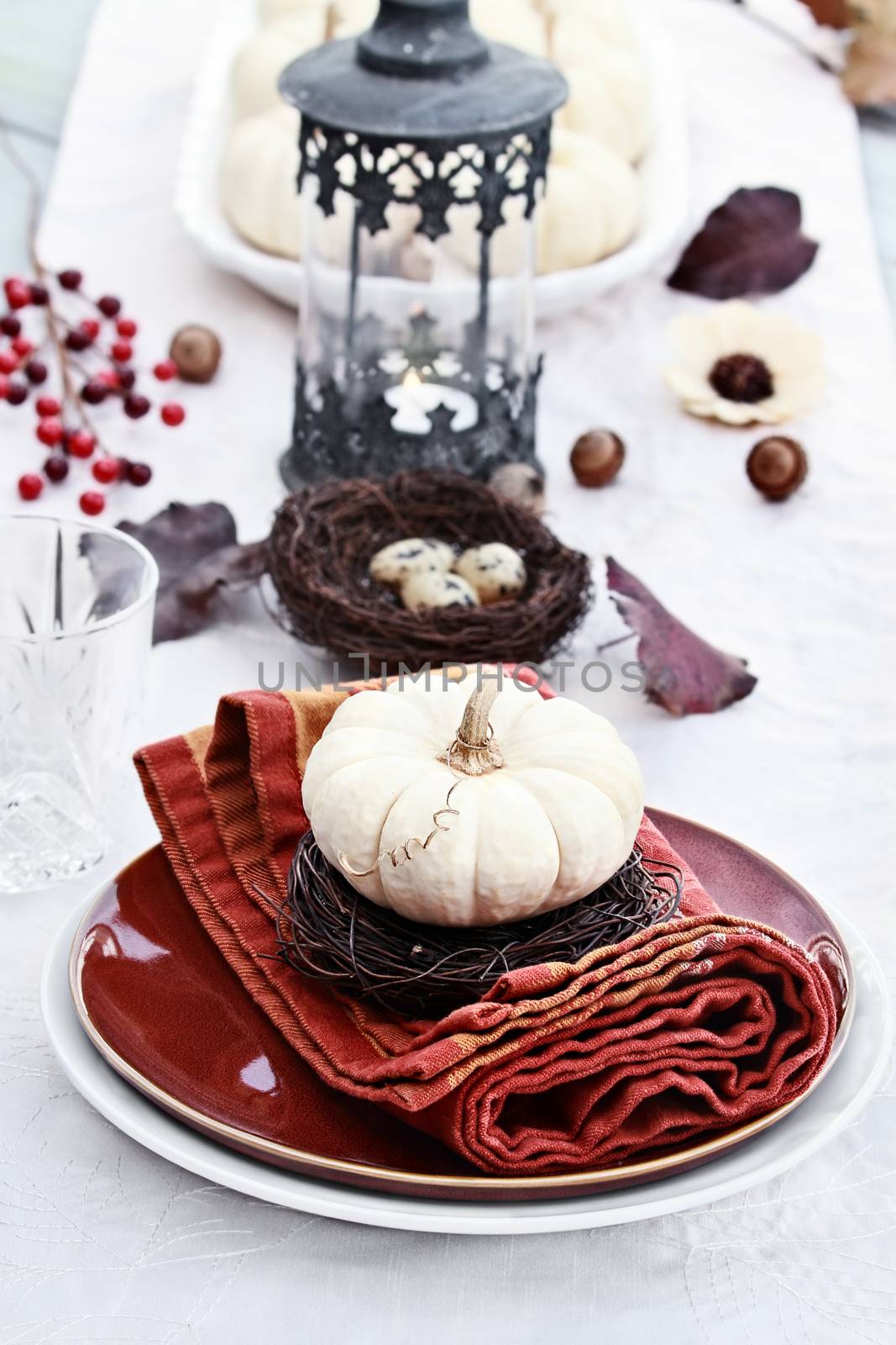 Beautiful table set with white pumpkins and natural items ready for an autumn meal.