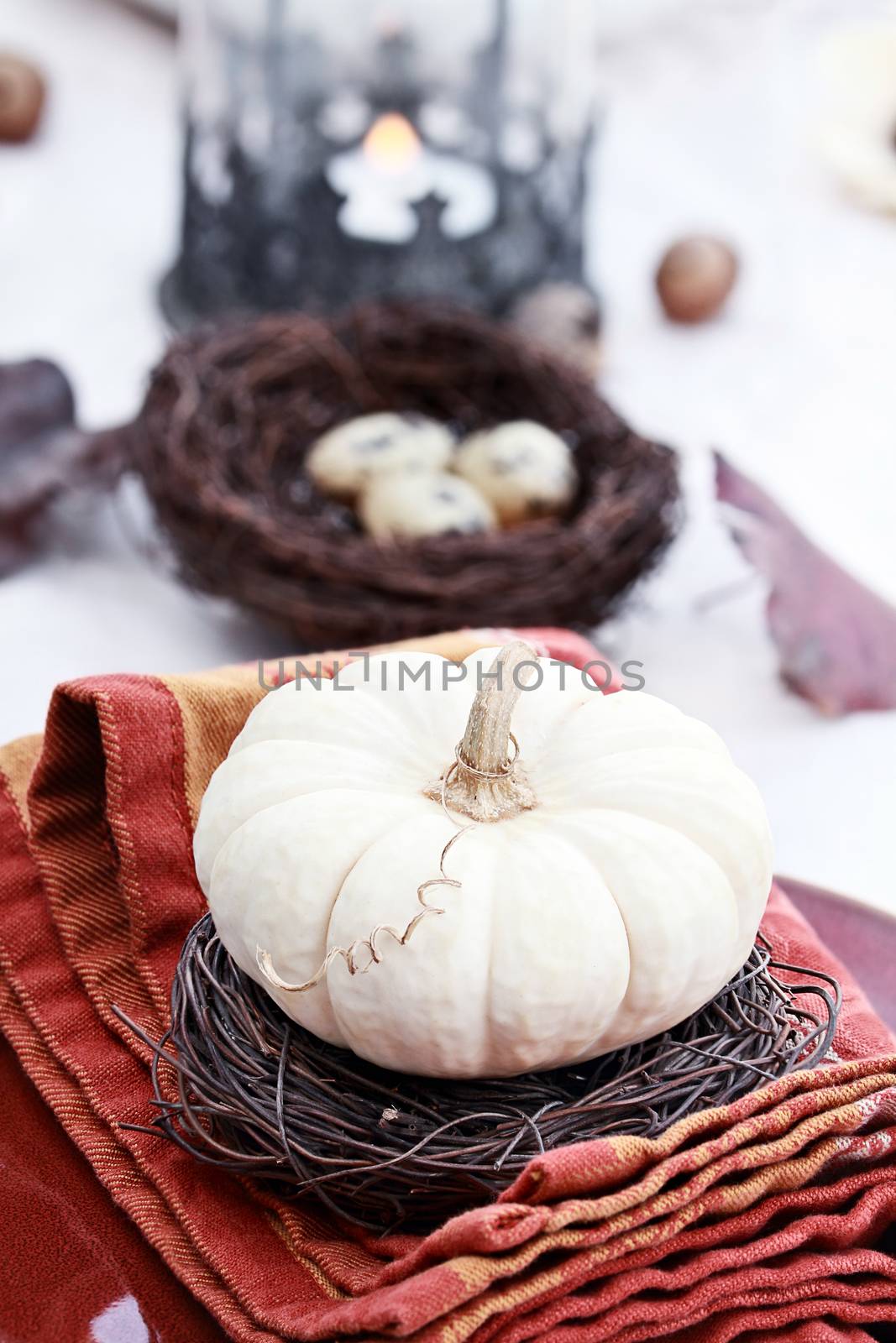 Beautiful table set with white pumpkins and natural items ready for an autumn meal.