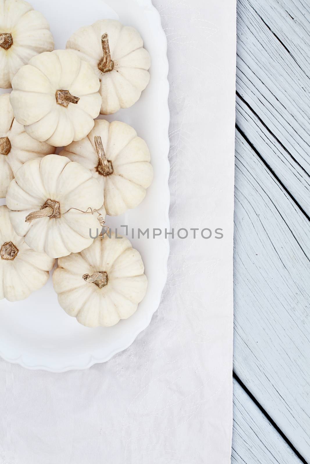 Mini White Pumpkins by StephanieFrey
