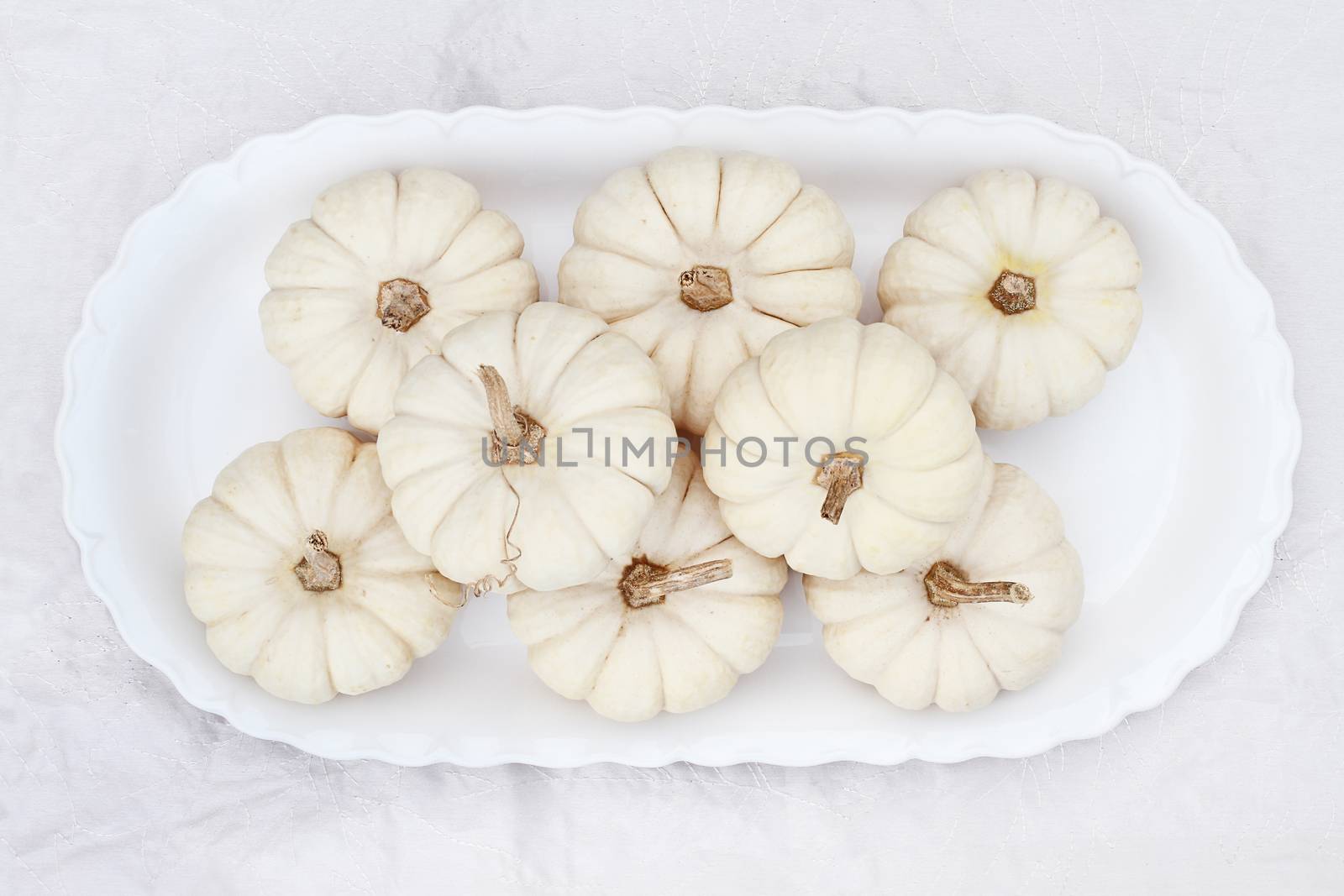 Beautiful table decorations of white pumpkins.